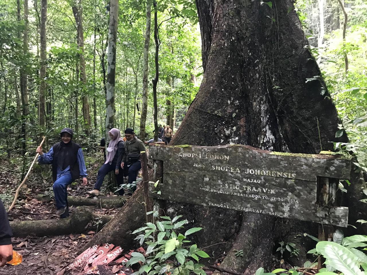 Pariwisata Kaltim