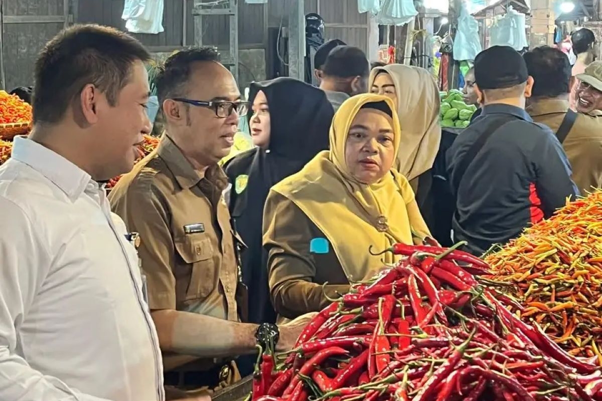 harga cabai