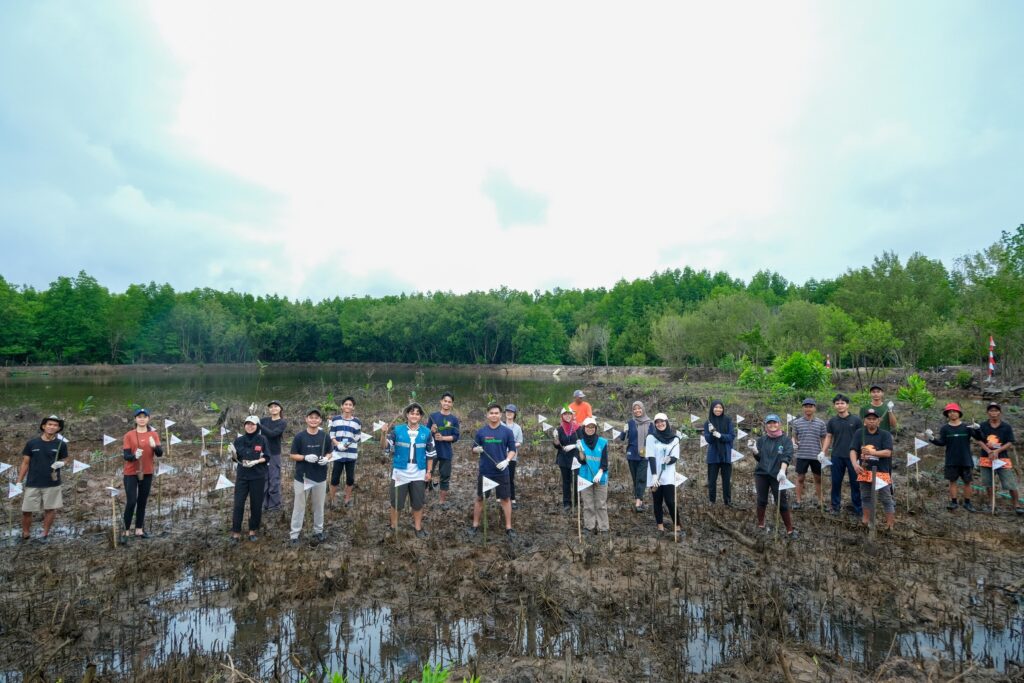 tiga_dekade_telkomsel_penanaman_bibit_mangrove