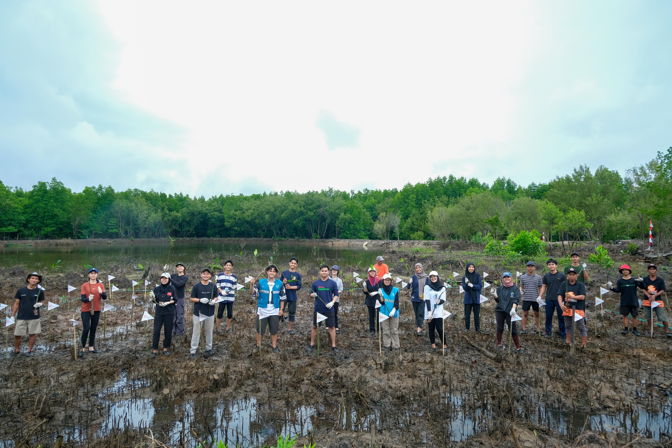 tiga_dekade_telkomsel_penanaman_bibit_mangrove