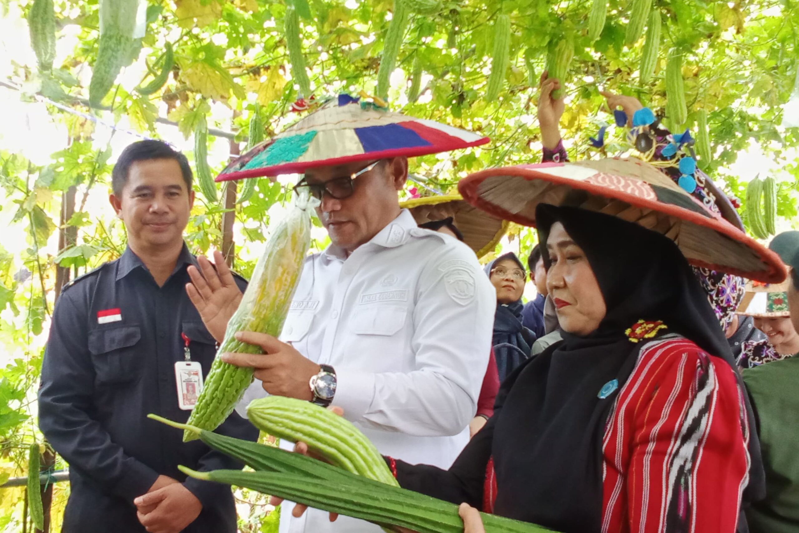 wagub_seno_aji_melihat_pertanian_di_kubar